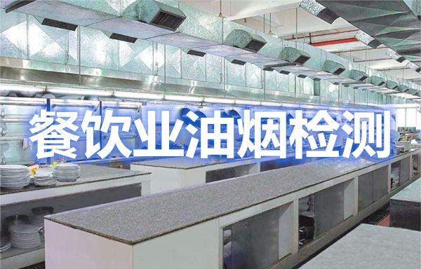 上海環(huán)境檢測(cè)咨詢(xún)服務(wù)有限公司 上海環(huán)境檢測(cè)咨詢(xún)服務(wù)有限公司